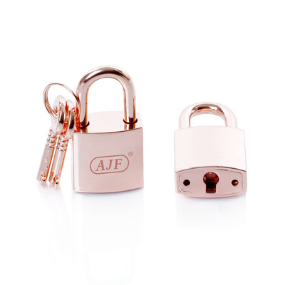 Rose Gold Fashion Locks For Handbags