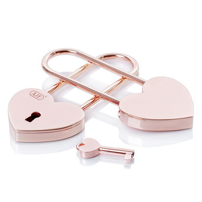Rose Gold Long Shackle Heart Love Putting Locks On Bridge