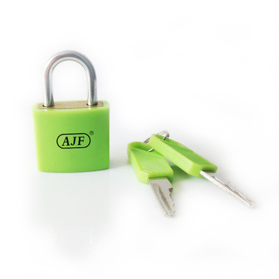 Mini Luggage Brass Padlock
